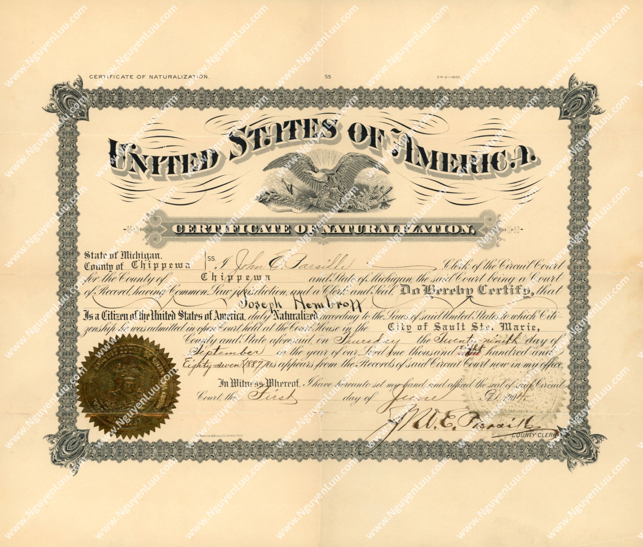 U.S. Certificate of Naturalization issued in the State of Michigan in 1887